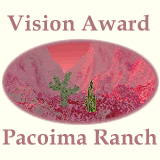 The Vision Award